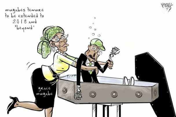 Image result for grace mugabe cartoons