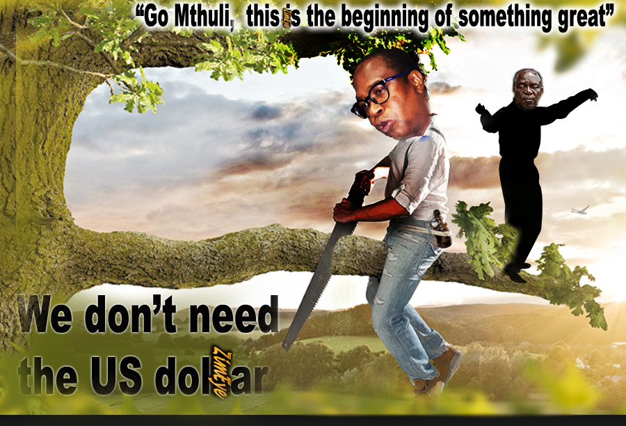 Mthuli Ncube, Emmerson Mnangagwa graphic, uS dollar